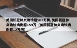 美国新冠肺炎确诊超503万例/美国新冠肺炎确诊病例超159万（美国新冠肺炎确诊病例超12万例）