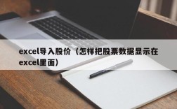 excel导入股价（怎样把股票数据显示在excel里面）