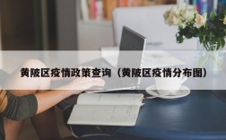 黄陂区疫情政策查询（黄陂区疫情分布图）