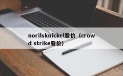 norilsknickel股价（crowd strike股价）