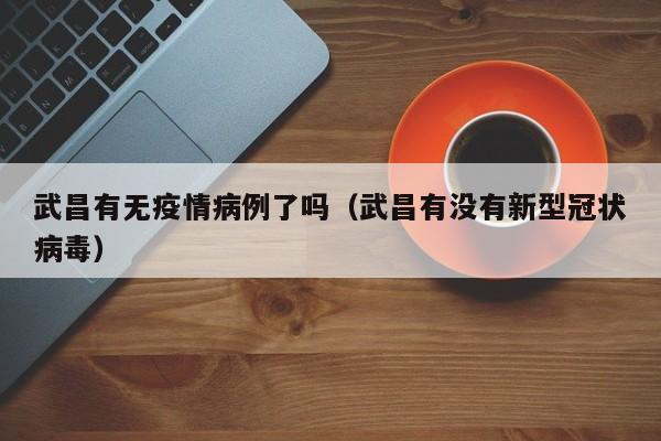 武昌有无疫情病例了吗（武昌有没有新型冠状病毒）-图1