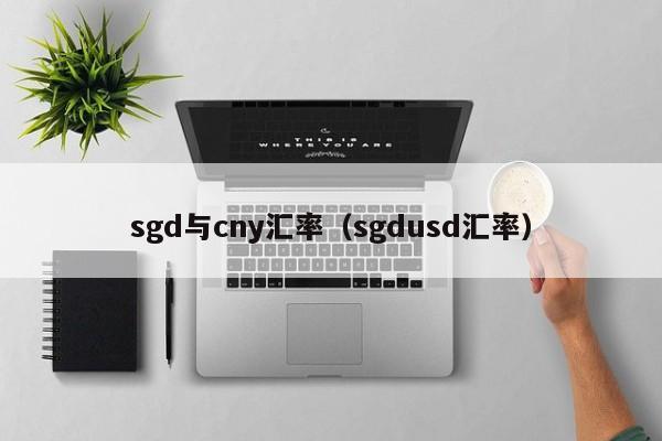 sgd与cny汇率（sgdusd汇率）-图1