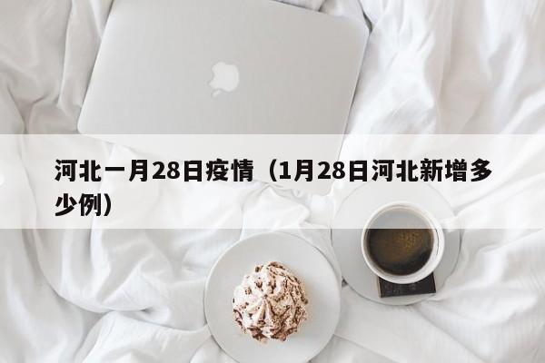 河北一月28日疫情（1月28日河北新增多少例）-图1