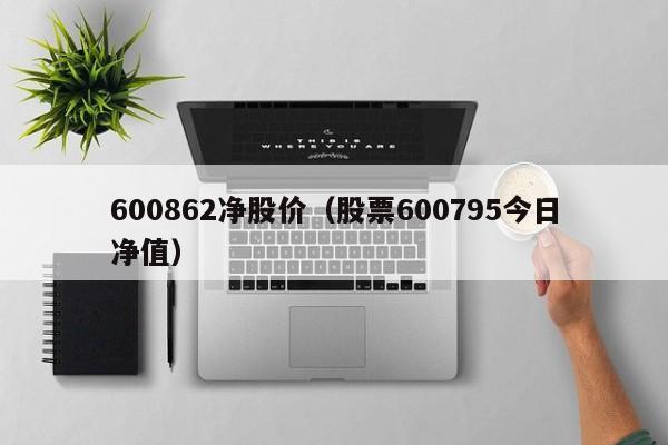 600862净股价（股票600795今日净值）-图1