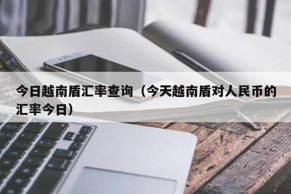 今日越南盾汇率查询（今天越南盾对人民币的汇率今日）-图1