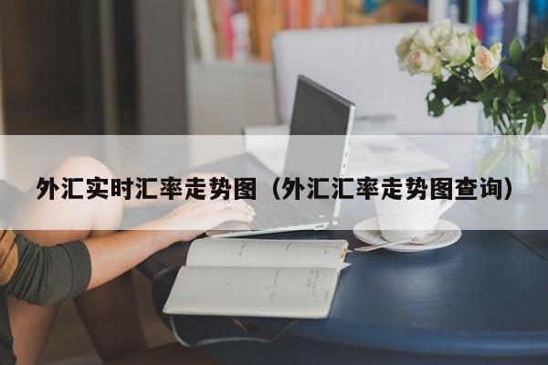 外汇实时汇率走势图（外汇汇率走势图查询）-图1